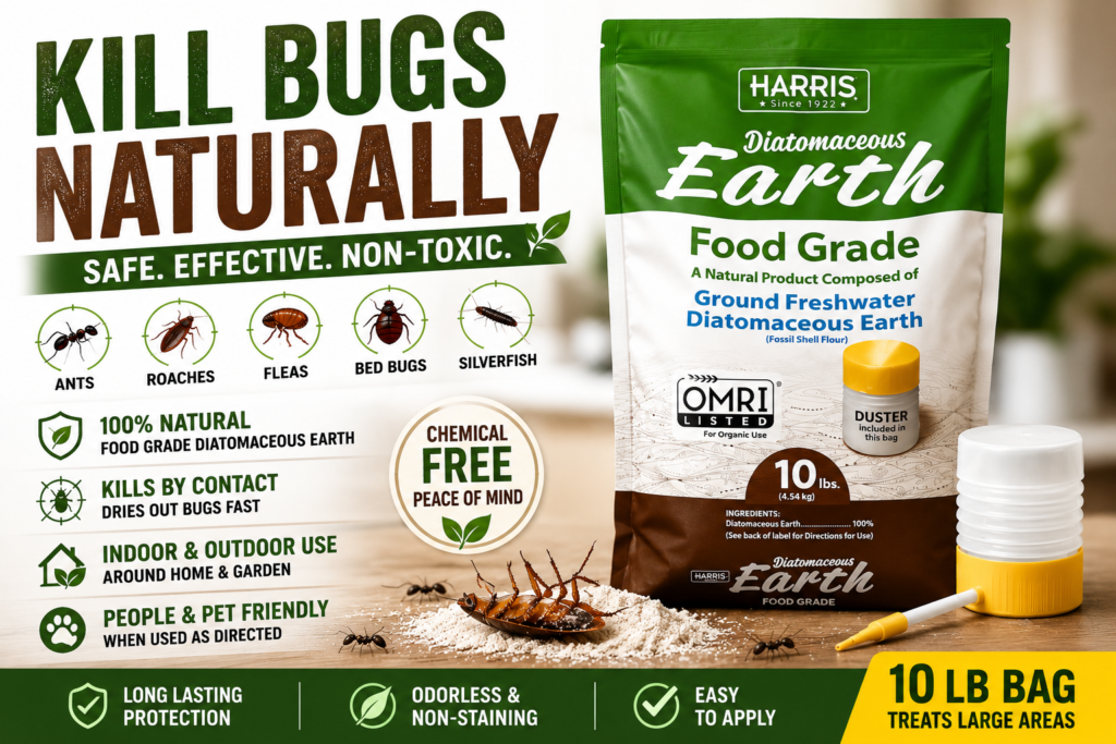 Diatomaceous Earth for Bugs: Does It Work?