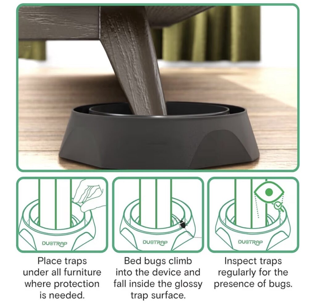 Bed bug interceptor traps