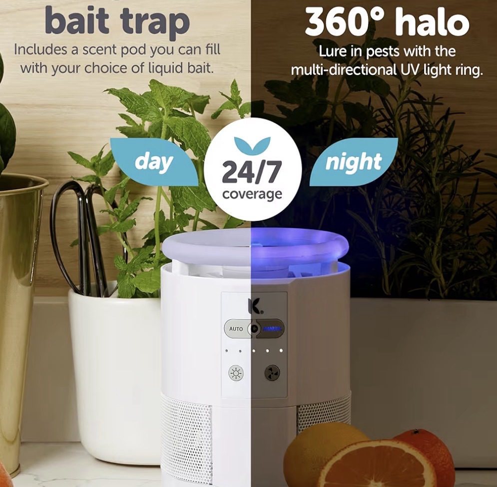 Katchy duo but trap for flying bugs