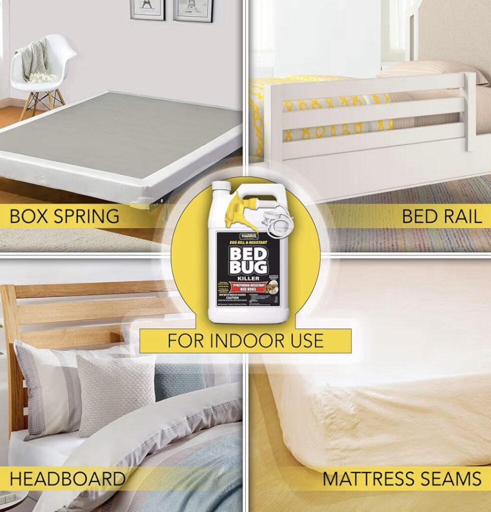 Best treatment spray to kill bedbugs 