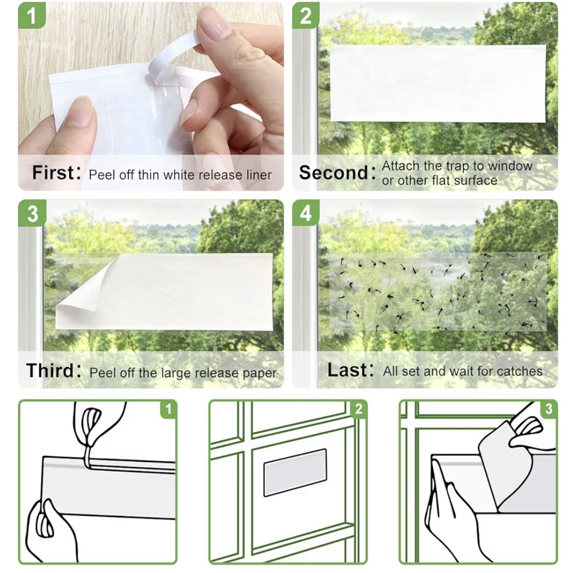 How to use window fly traps 