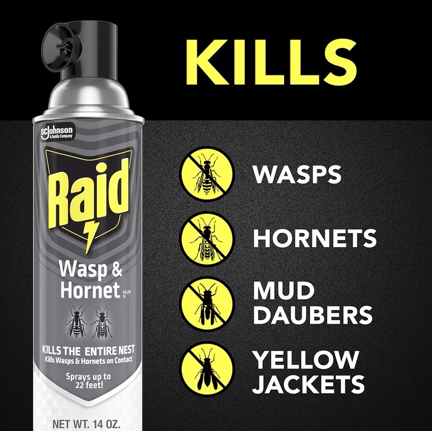 Raid wasp and hornet killer
