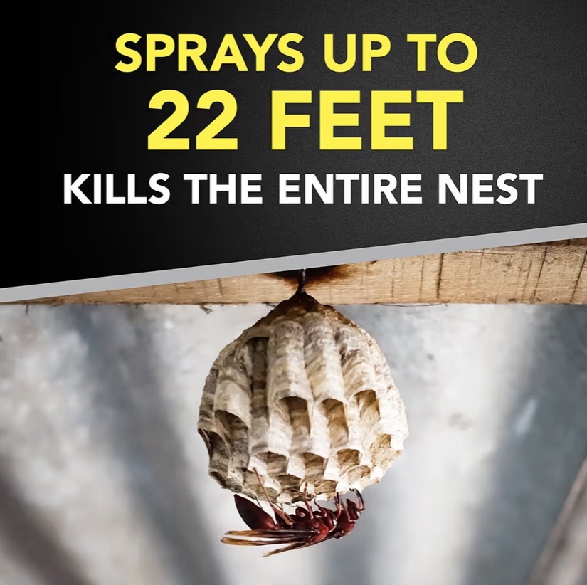 Road sprays 22ft to reach and kill wasp from distance