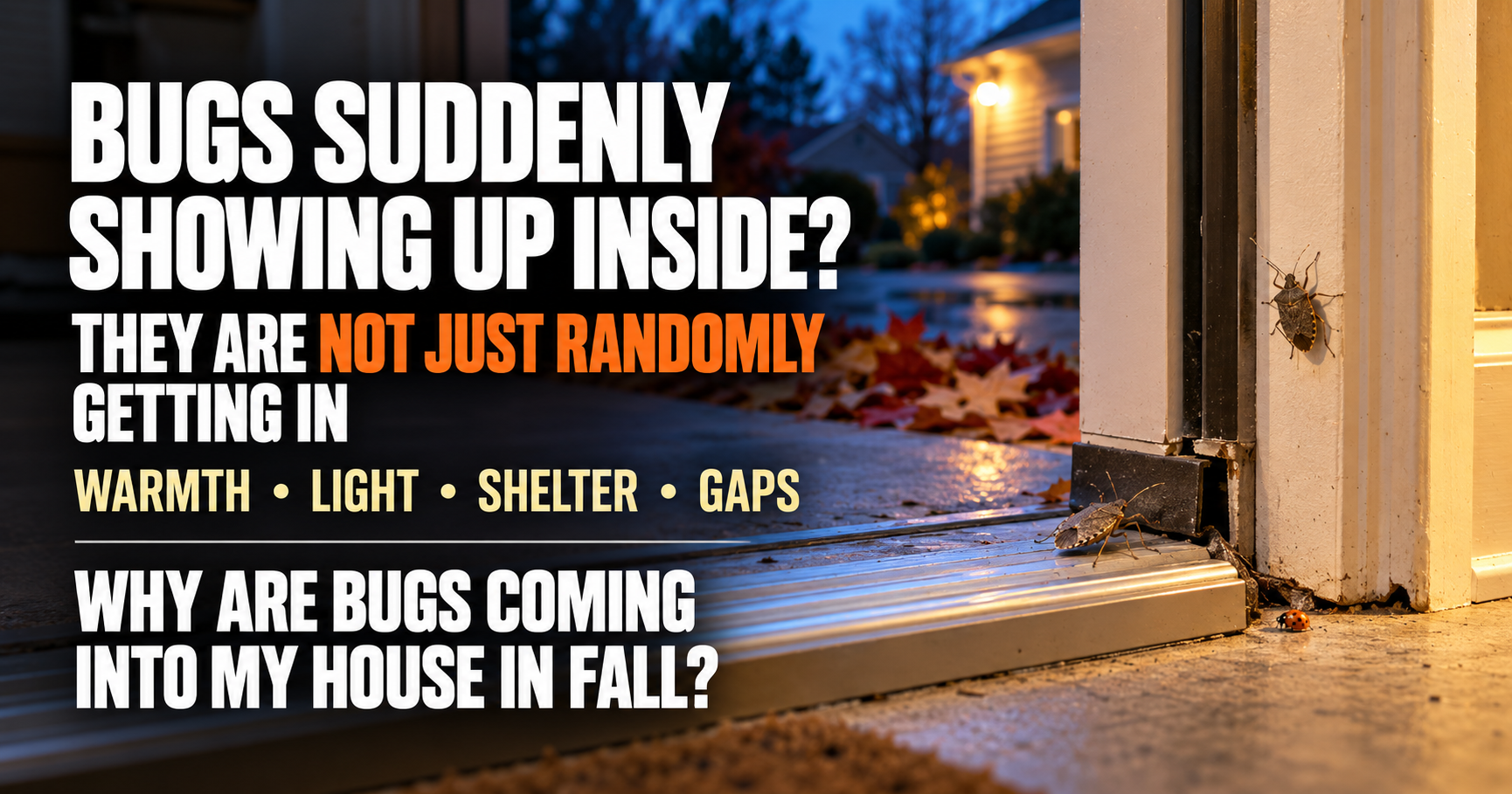 Why Are Bugs Coming Into My House in Fall? 7 Reasons