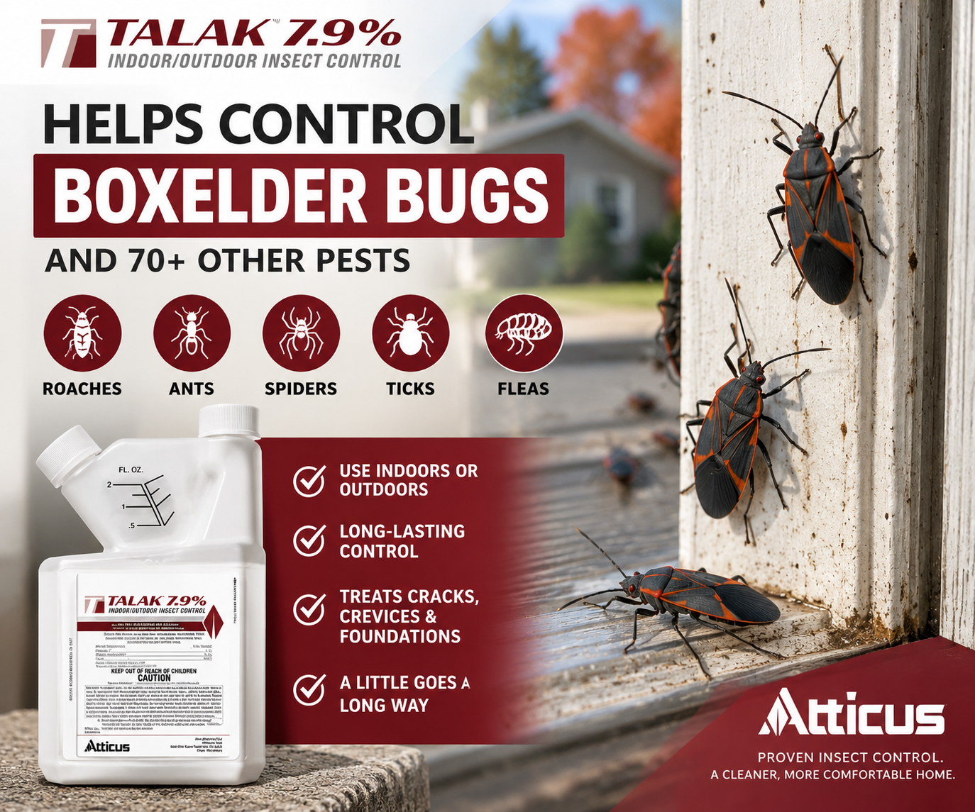Talak 7.9% boxelder bug killer